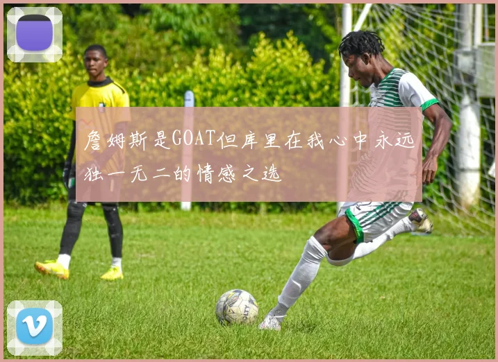 詹姆斯是GOAT但库里在我心中永远独一无二的情感之选