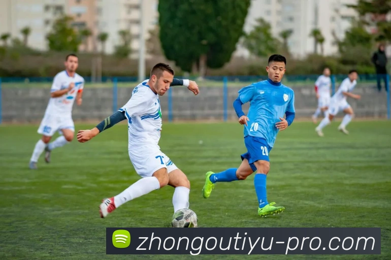 中欧体育平台生态图